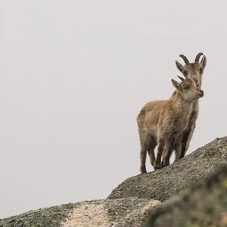 Casa Da Fonte - * Geres