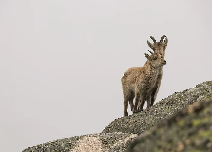 Casa Da Fonte - * Geres
